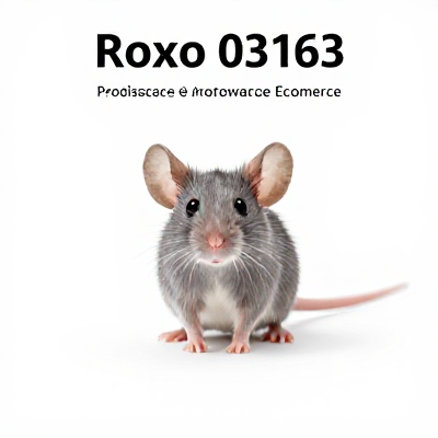 Mouse Slim Roxo 03163